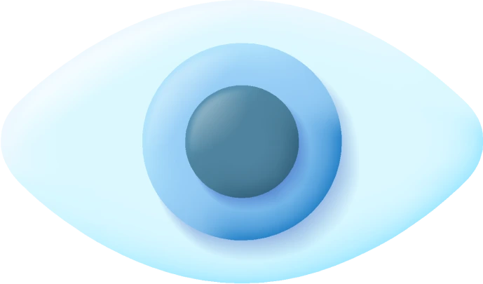 visionIcon
